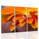 تابلو سه تکه گل کد TA1010 - تصویر 3