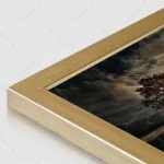 تابلو عکس طبیعت کد RKN-1549 - تصویر 5